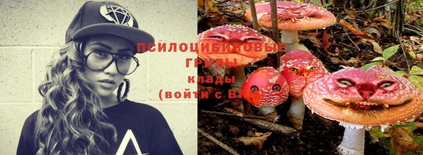 ешки Абдулино
